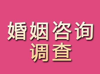 伊通婚姻咨询调查